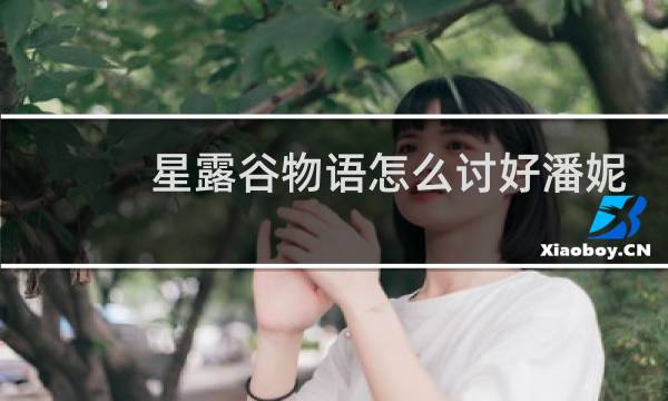 星露谷物语怎么讨好潘妮