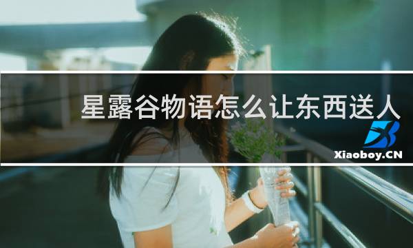 星露谷物语怎么让东西送人