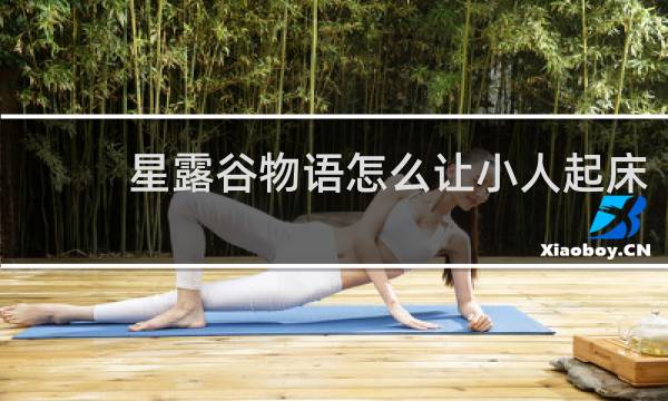 星露谷物语怎么让小人起床