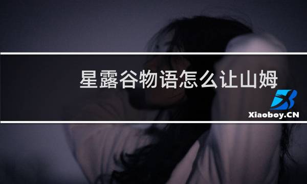 星露谷物语怎么让山姆