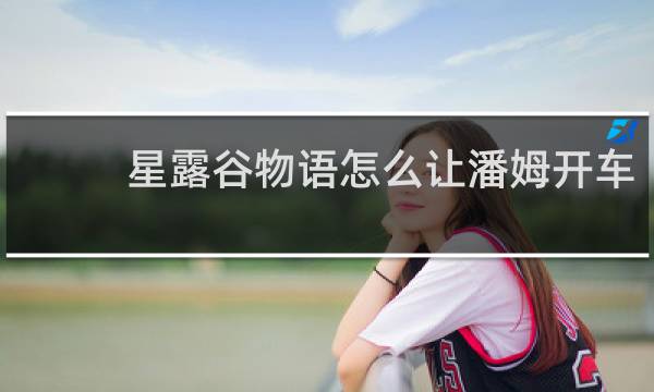 星露谷物语怎么让潘姆开车