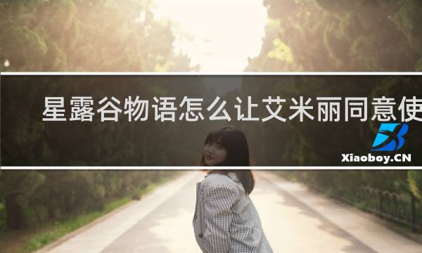 星露谷物语怎么让艾米丽同意使用