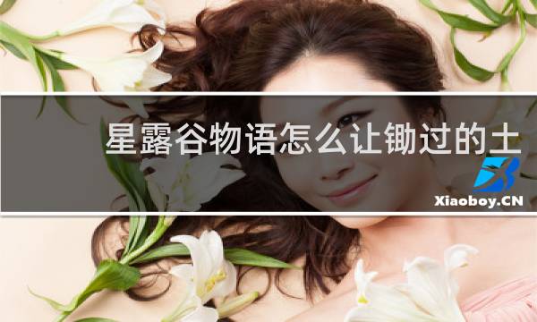 星露谷物语怎么让锄过的土