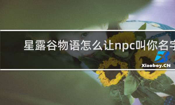 星露谷物语怎么让npc叫你名字