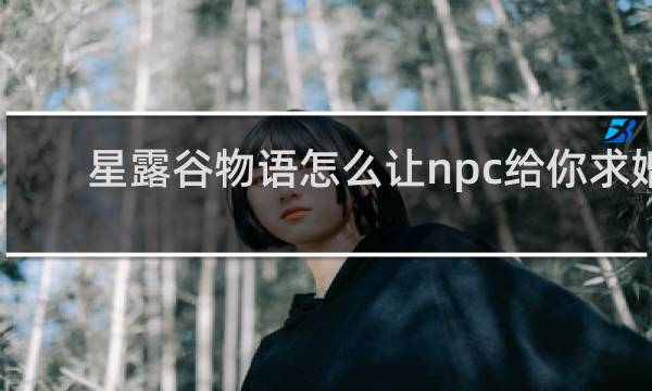 星露谷物语怎么让npc给你求婚