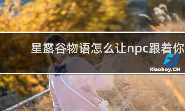 星露谷物语怎么让npc跟着你