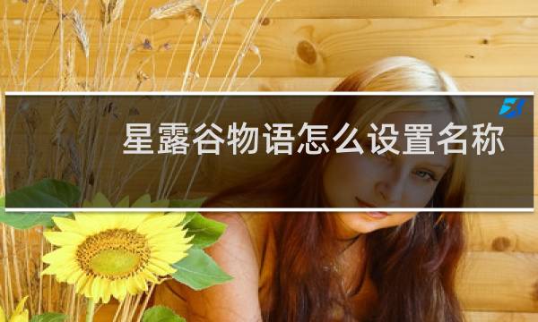 星露谷物语怎么设置名称