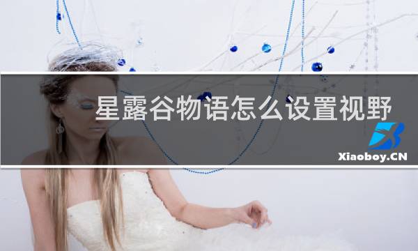 星露谷物语怎么设置视野