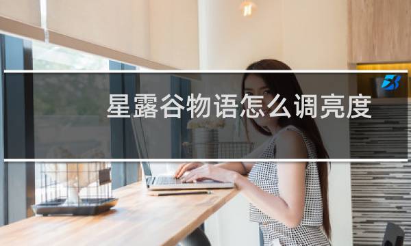 星露谷物语怎么调亮度