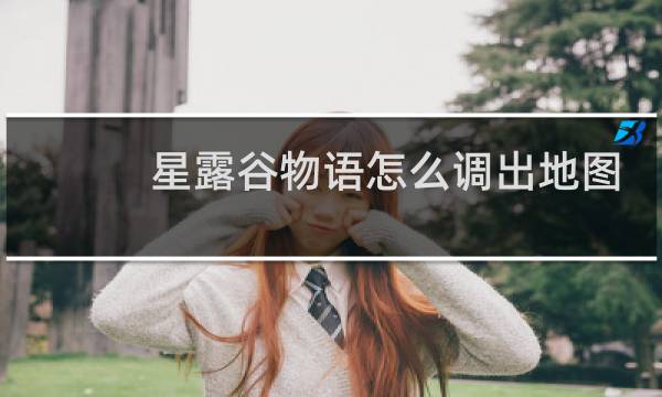 星露谷物语怎么调出地图
