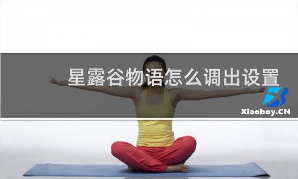 星露谷物语怎么调出设置