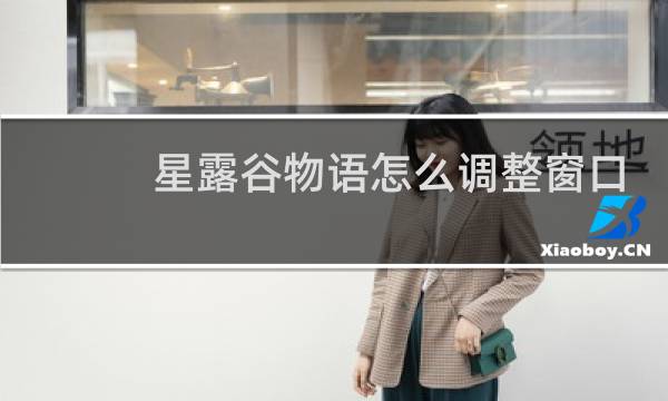 星露谷物语怎么调整窗口