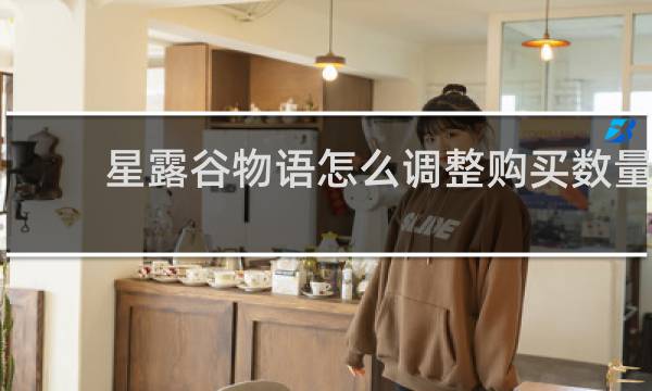 星露谷物语怎么调整购买数量