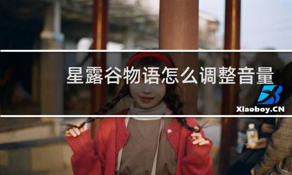 星露谷物语怎么调整音量