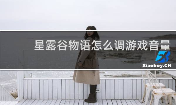 星露谷物语怎么调游戏音量