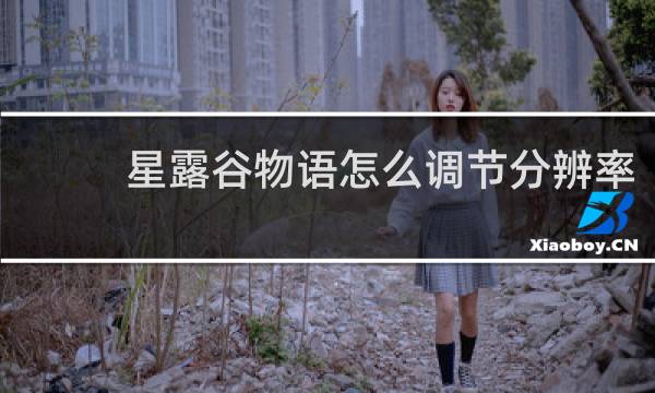 星露谷物语怎么调节分辨率