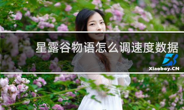 星露谷物语怎么调速度数据