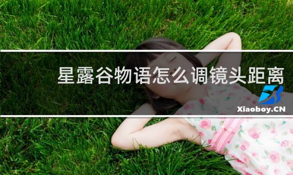 星露谷物语怎么调镜头距离