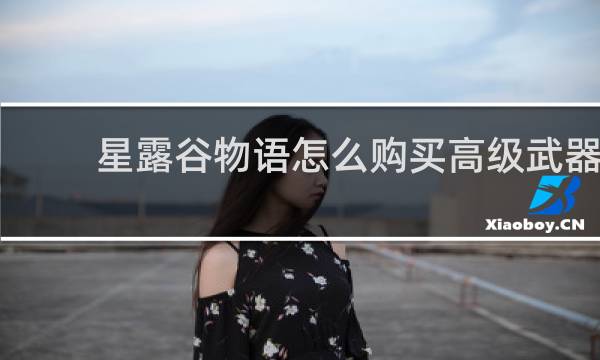 星露谷物语怎么购买高级武器