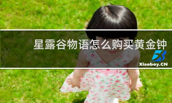 星露谷物语怎么购买黄金钟