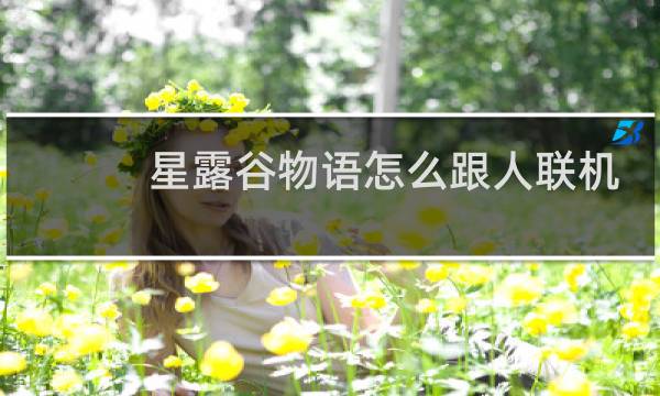 星露谷物语怎么跟人联机