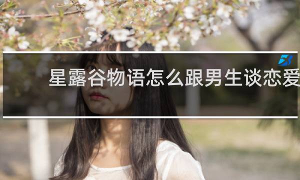 星露谷物语怎么跟男生谈恋爱