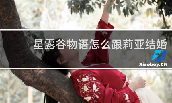 星露谷物语怎么跟莉亚结婚