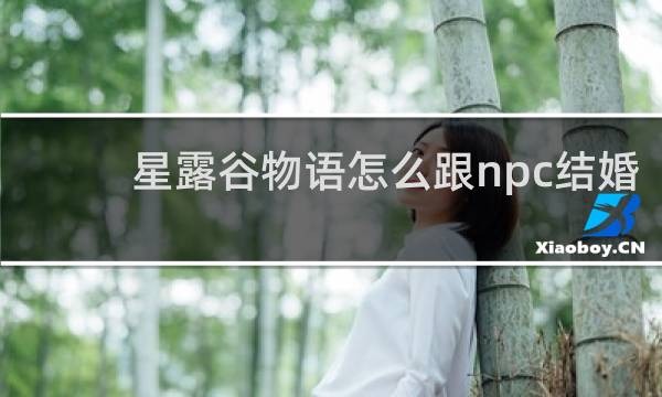 星露谷物语怎么跟npc结婚