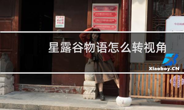 星露谷物语怎么转视角
