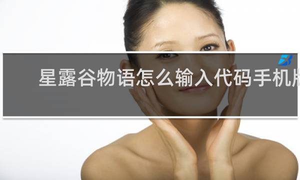 星露谷物语怎么输入代码手机版