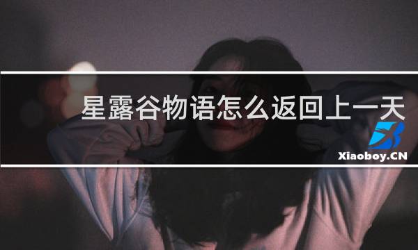 星露谷物语怎么返回上一天