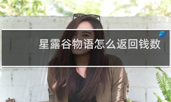 星露谷物语怎么返回钱数