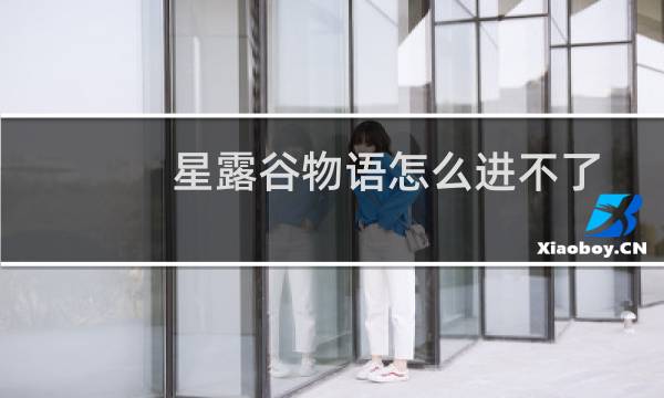 星露谷物语怎么进不了