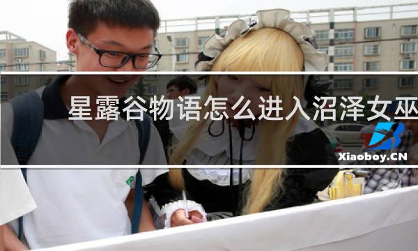 星露谷物语怎么进入沼泽女巫