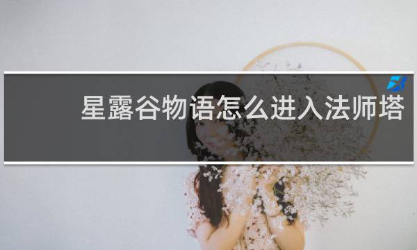 星露谷物语怎么进入法师塔