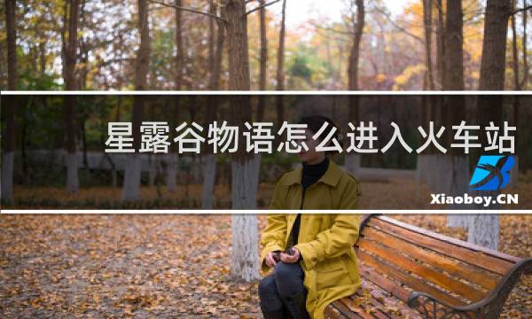 星露谷物语怎么进入火车站