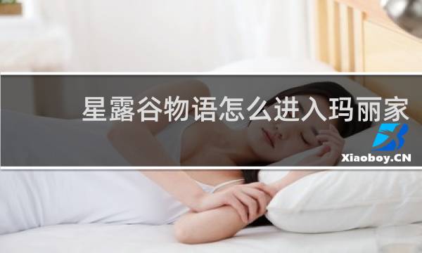 星露谷物语怎么进入玛丽家