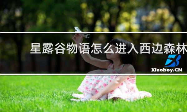 星露谷物语怎么进入西边森林
