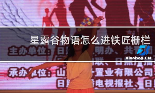 星露谷物语怎么进铁匠栅栏