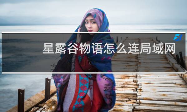 星露谷物语怎么连局域网