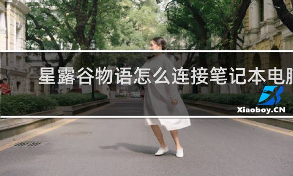 星露谷物语怎么连接笔记本电脑