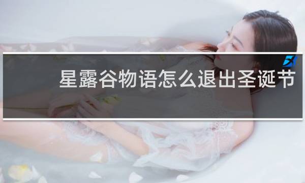 星露谷物语怎么退出圣诞节