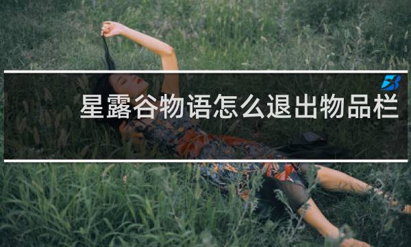 星露谷物语怎么退出物品栏
