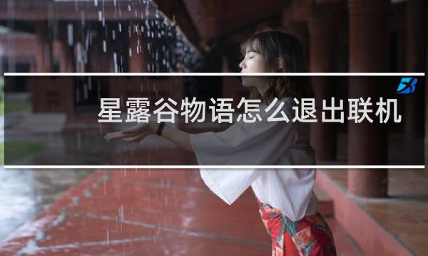 星露谷物语怎么退出联机