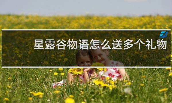 星露谷物语怎么送多个礼物
