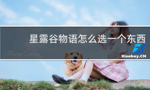 星露谷物语怎么选一个东西