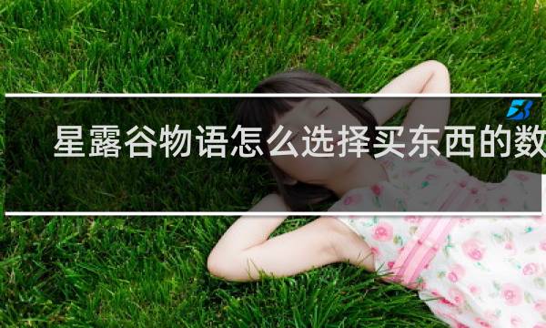 星露谷物语怎么选择买东西的数量