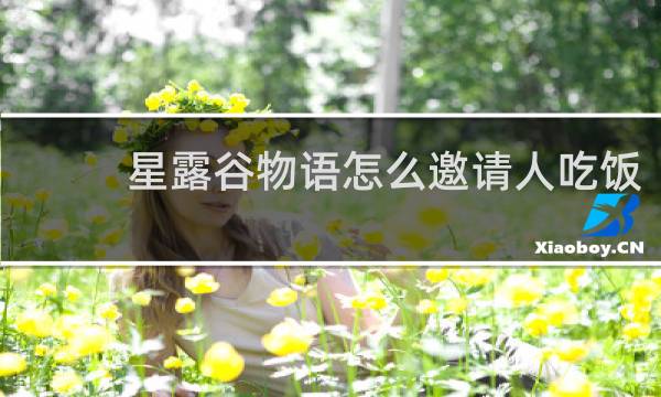 星露谷物语怎么邀请人吃饭