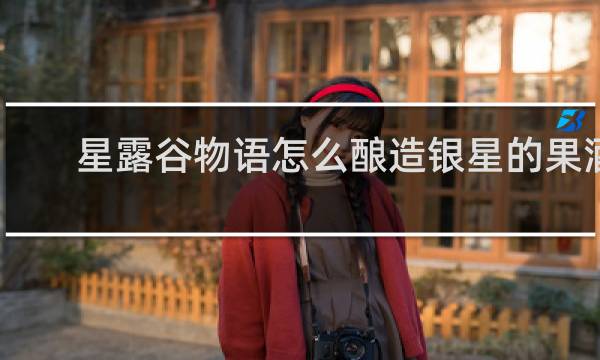 星露谷物语怎么酿造银星的果酒