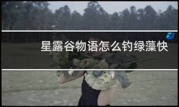 星露谷物语怎么钓绿藻快